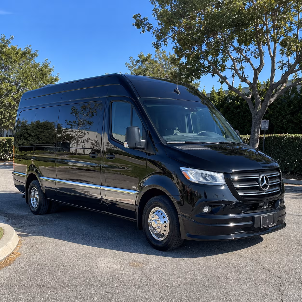 Lafayette Birthday Transportation